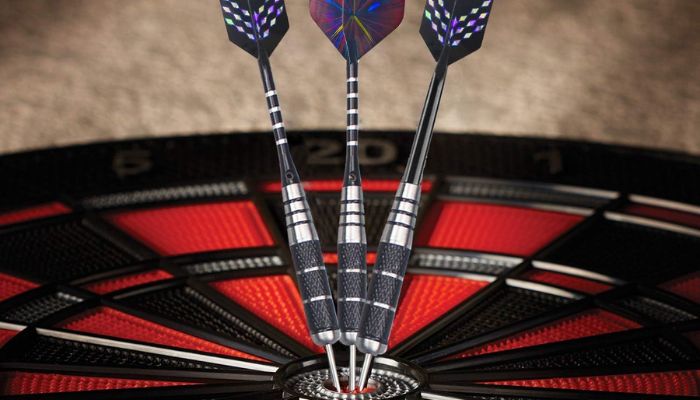 WINSDART metal tip darts review